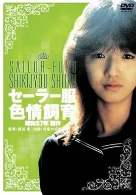 夏日回声机 剧场版动画推荐 海报